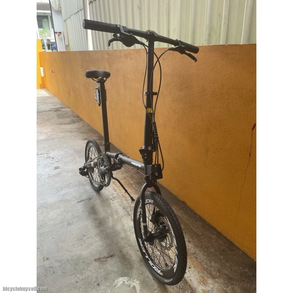 PACIFIC SUPER FLUX BIKE - CHROMOLY FRAME 16"