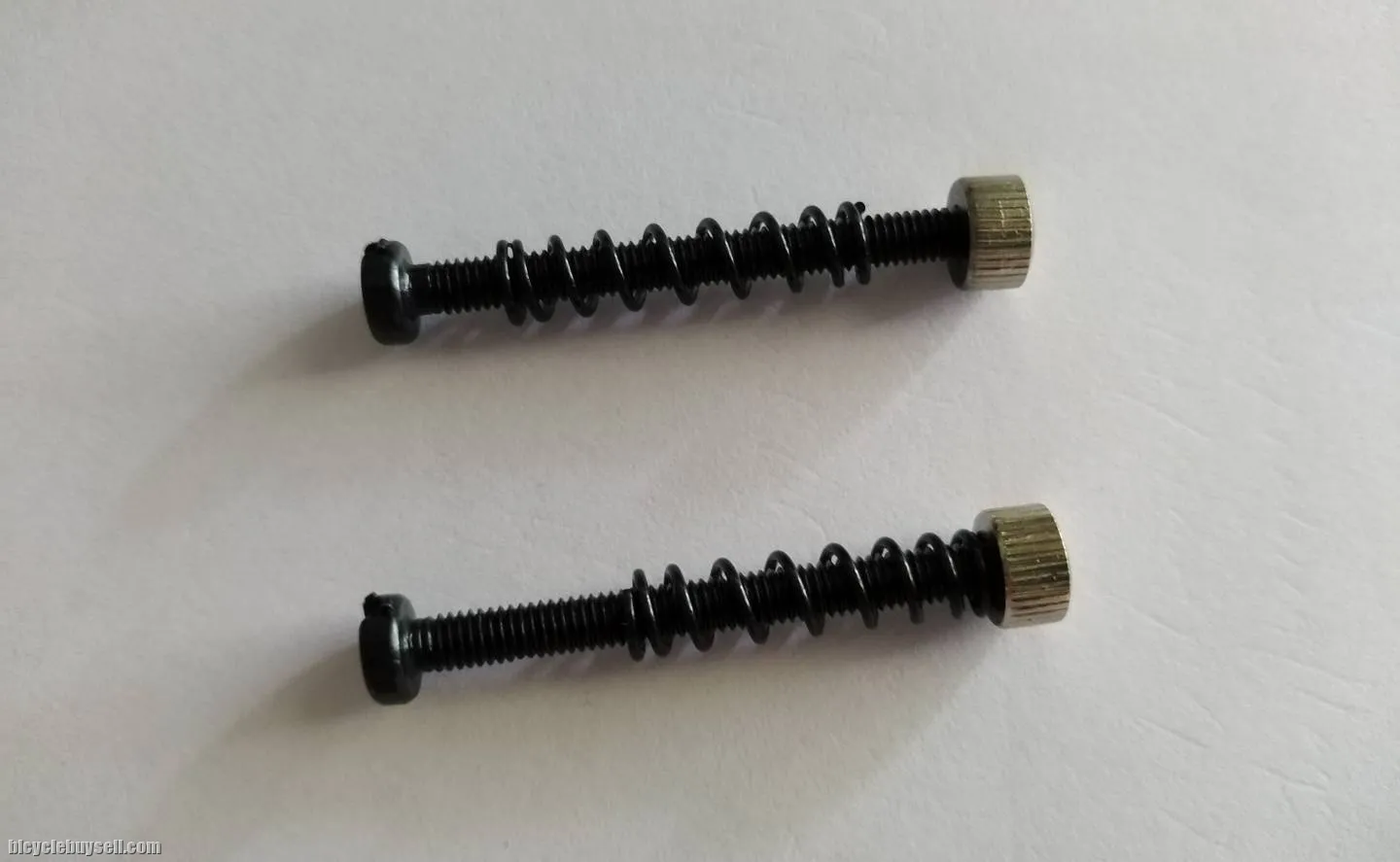 Campaqnolo Rear Dropout Screw Adjuster New