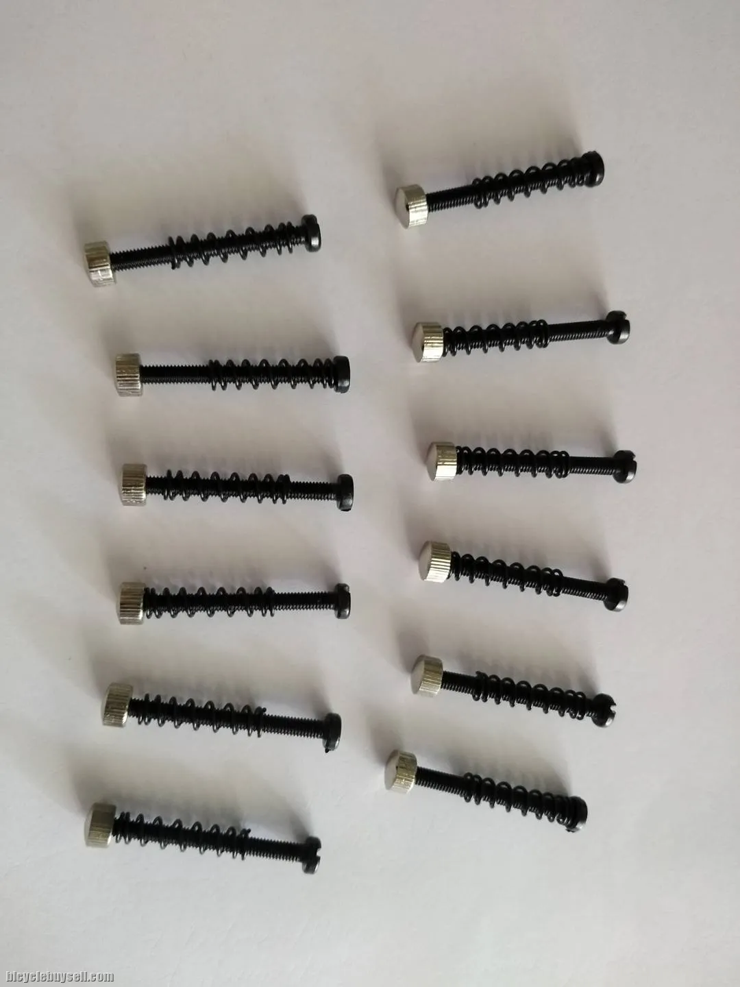 Campaqnolo Rear Dropout Screw Adjuster New