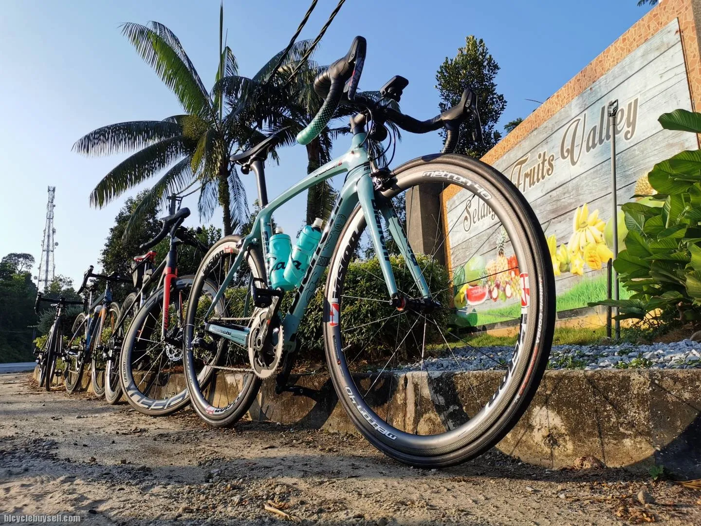 Bianchi Oltre Xr2