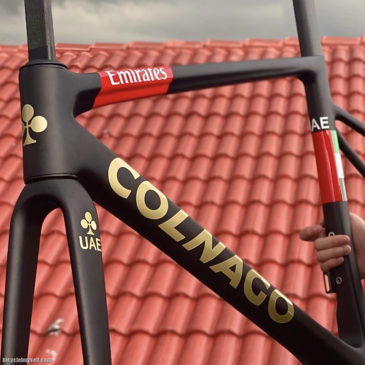 Colnago V3RS Frameset READY STOCK