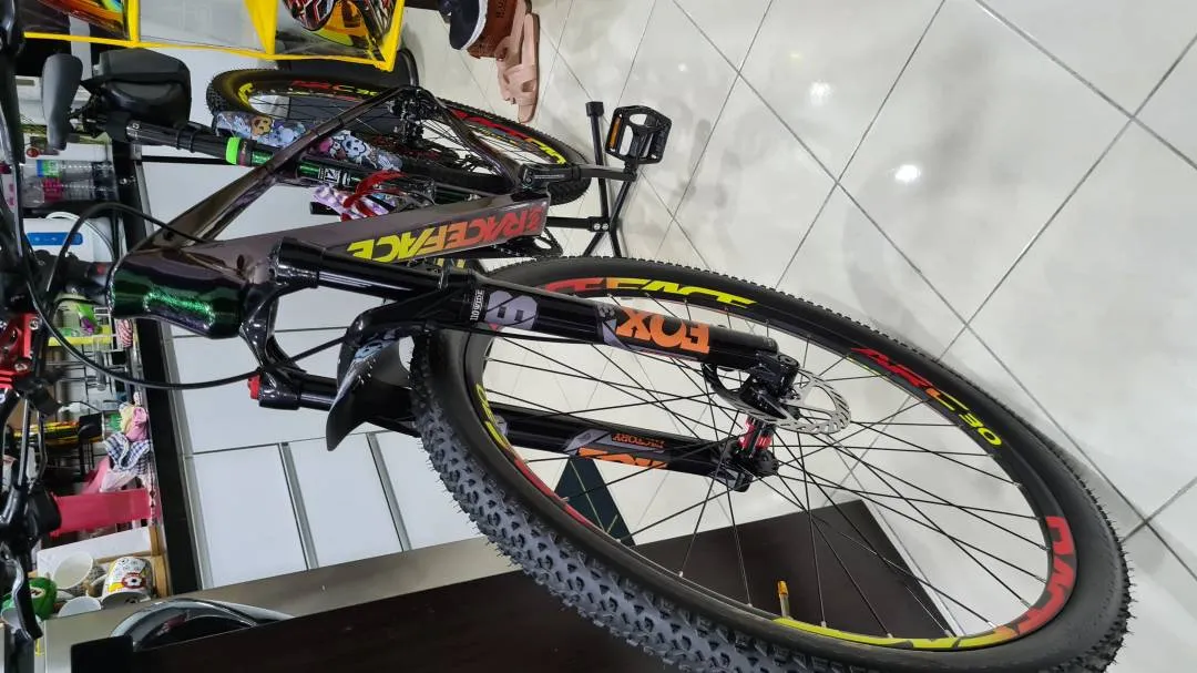 ALCOTT DINO MTB 29" CARBON T800