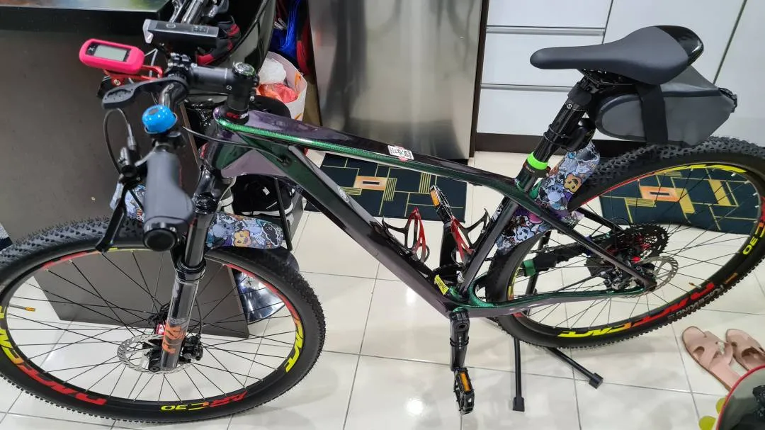 ALCOTT DINO MTB 29" CARBON T800