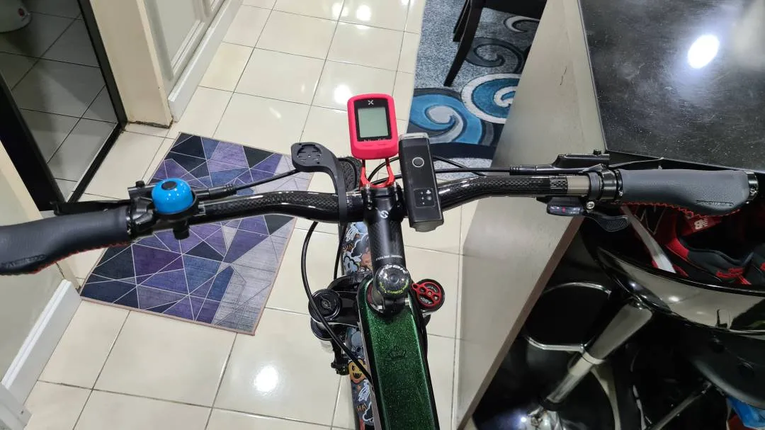 ALCOTT DINO MTB 29" CARBON T800