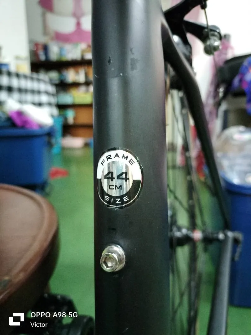 Alcott Fiorano All Rounder Frame