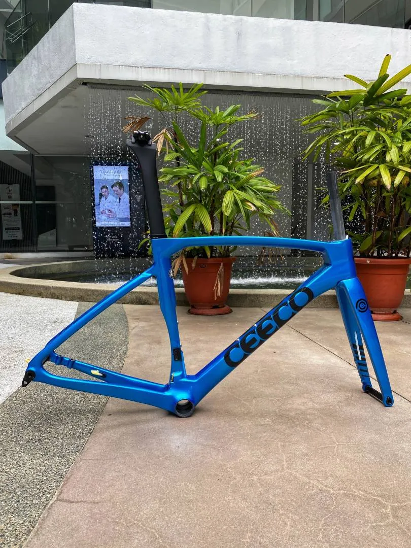 Ceepo Stinger Roadbike Carbon Frameset
