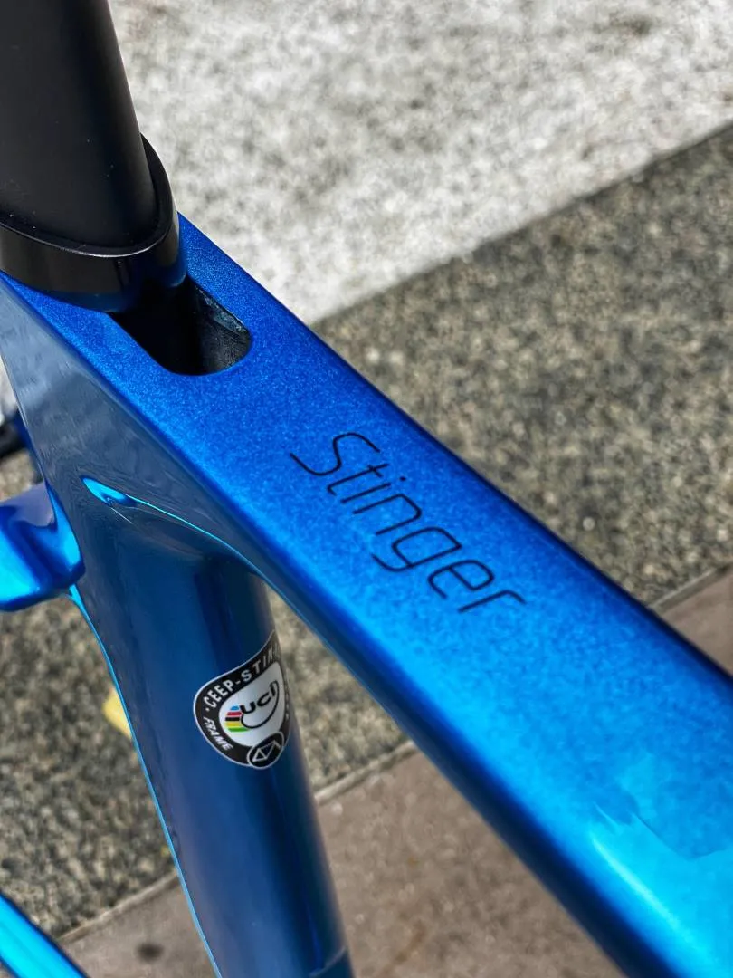 Ceepo Stinger Roadbike Carbon Frameset