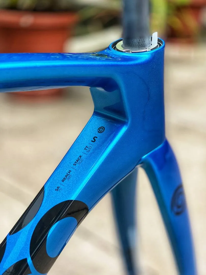 Ceepo Stinger Roadbike Carbon Frameset