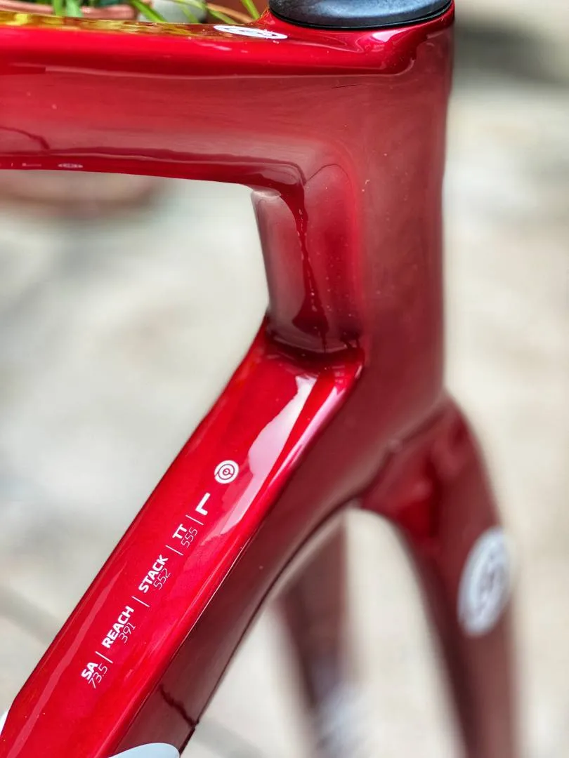 Ceepo Mamba R Roadbike Carbon Frameset