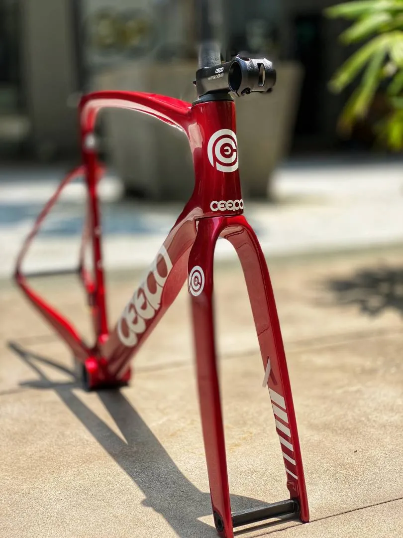 Ceepo Mamba R Roadbike Carbon Frameset