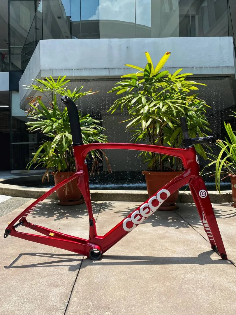 Ceepo Mamba R Roadbike Carbon Frameset