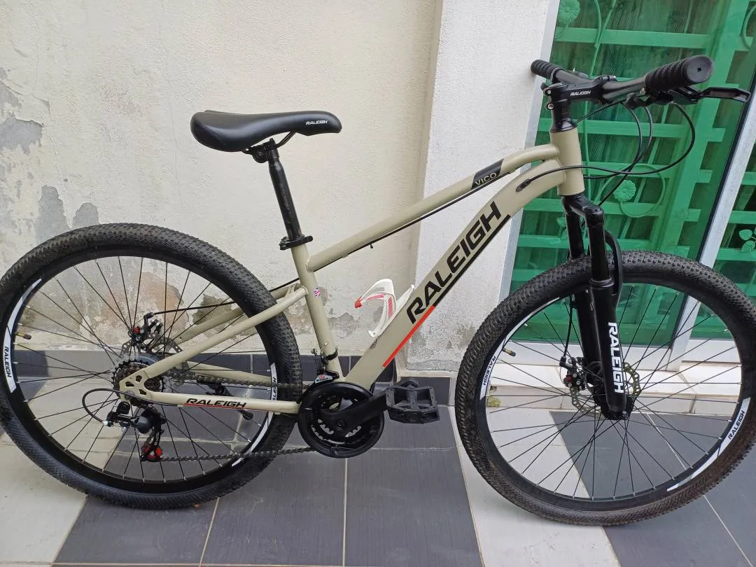 Raleigh Vico
