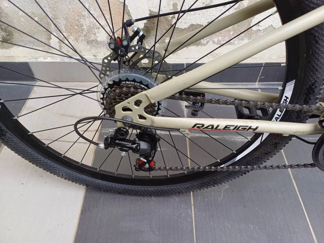 Raleigh Vico