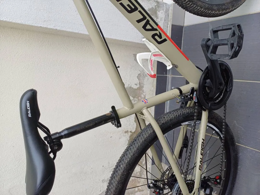 Raleigh Vico