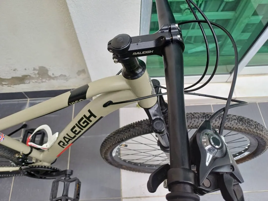 Raleigh Vico