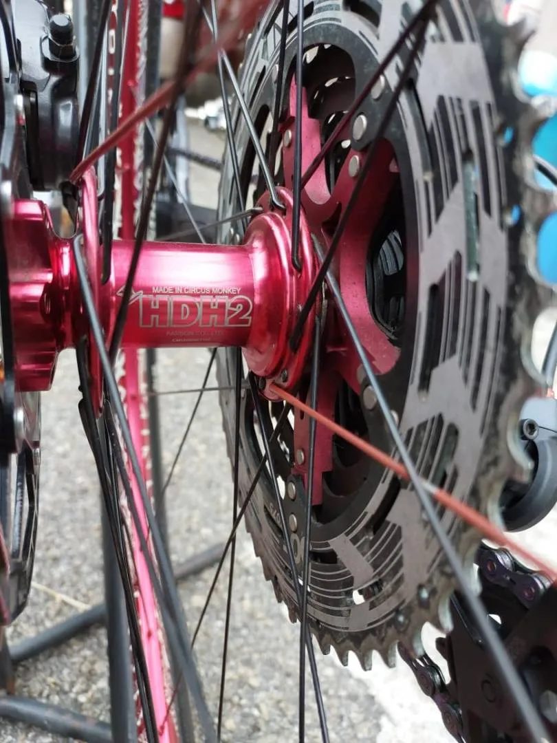 29 TRINX H1700 Carbon 12 speed (SIZE : S)