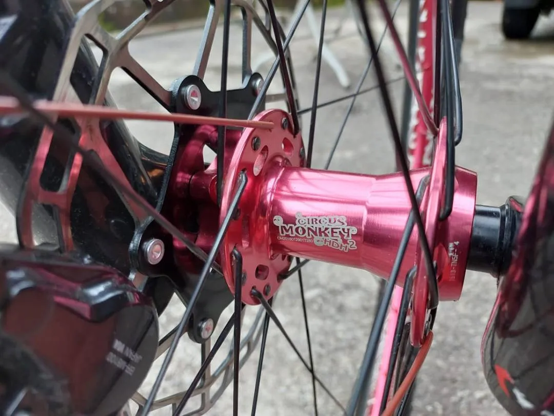 29 TRINX H1700 Carbon 12 speed (SIZE : S)