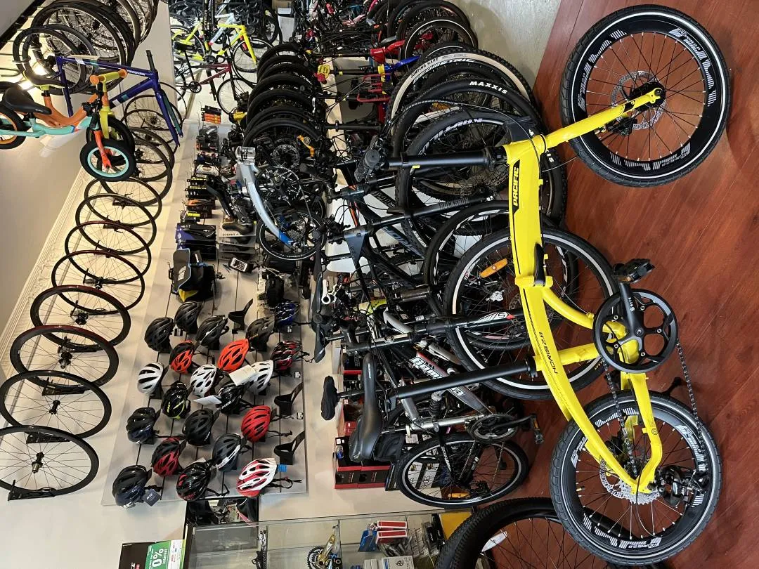 CLEARANCE STOCKâ€¼ï¸ 20 INCH PACIFIC NORRIS 2.0 FOLDING BIKE