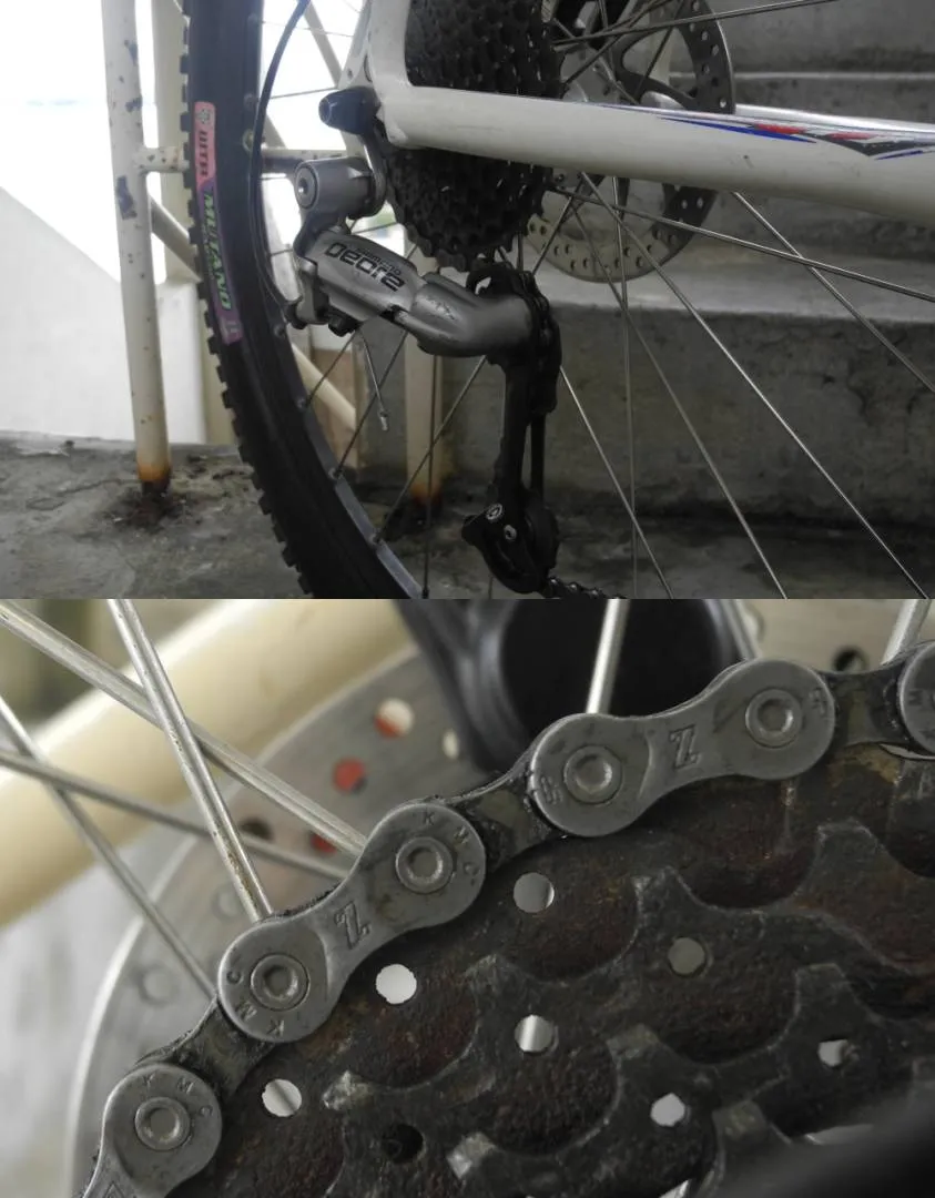 SARS mtb