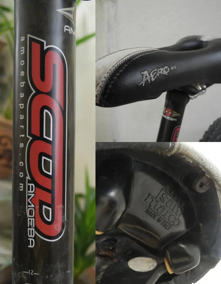 SARS mtb
