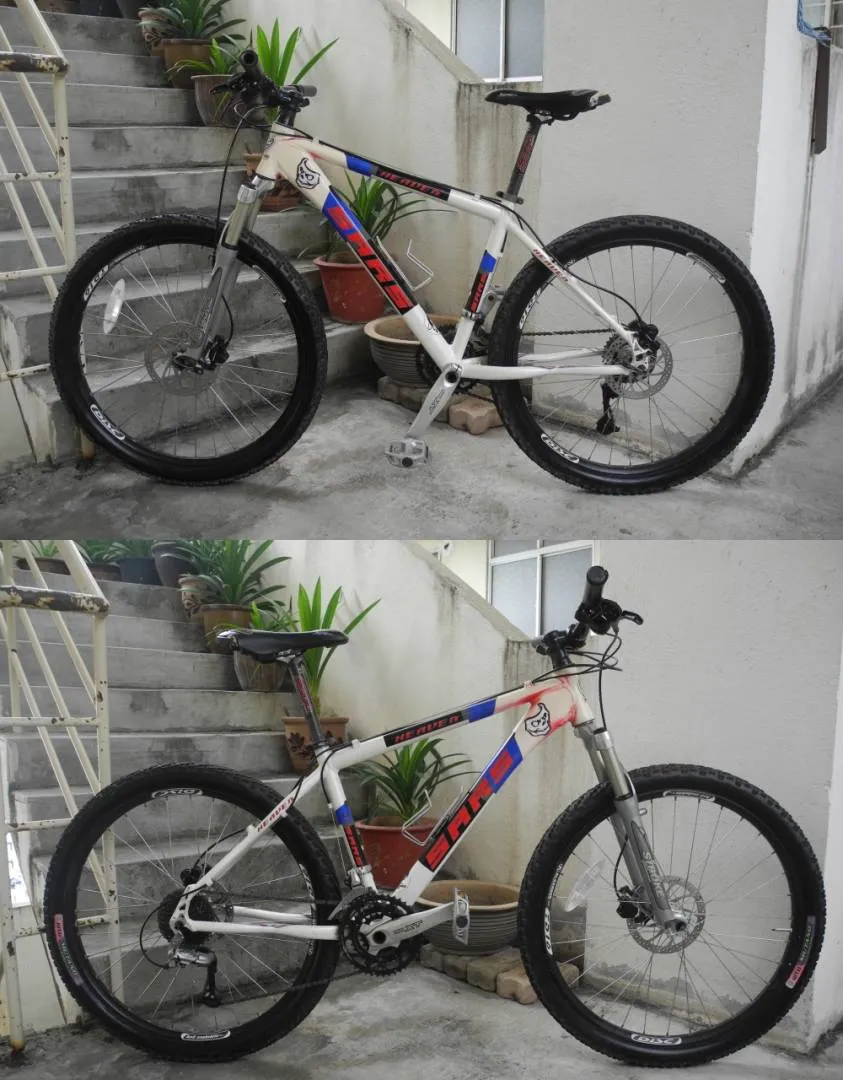SARS mtb