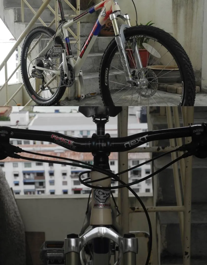 SARS mtb