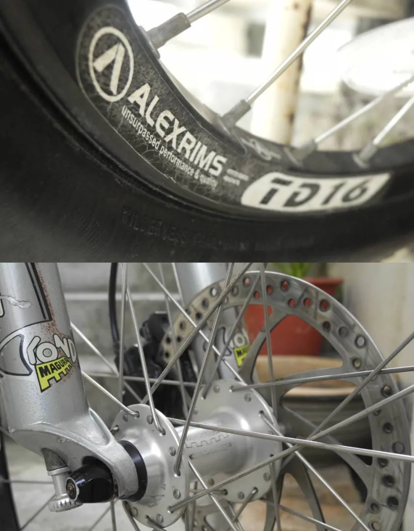 SARS mtb