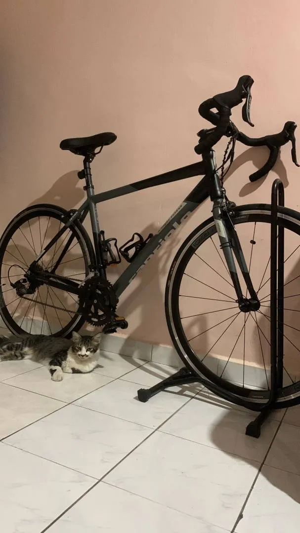 Capriolo Hawk Road Bike