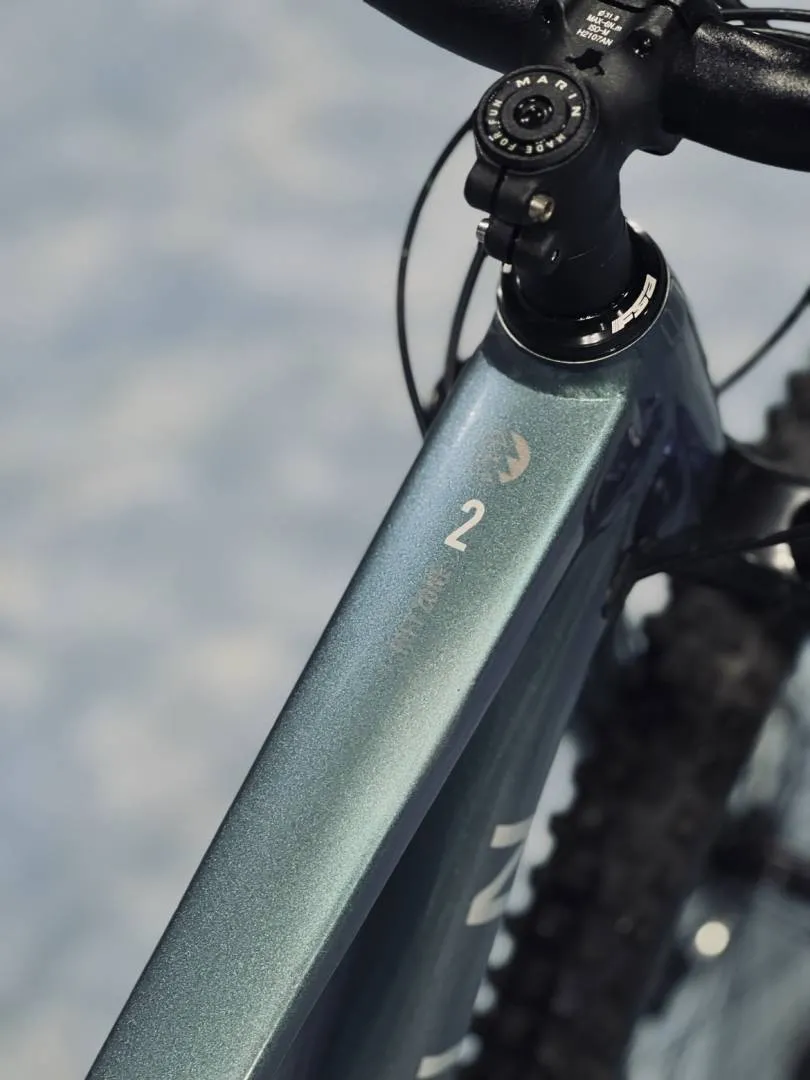 Marin Rift Zone 2 29er