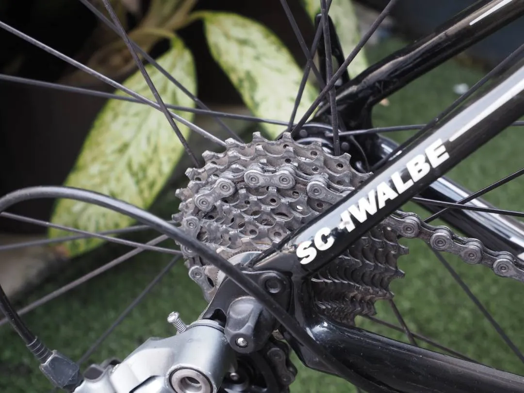 Rare Specialized Sworks Tarmac Gerolsteiner Team Complete Bike